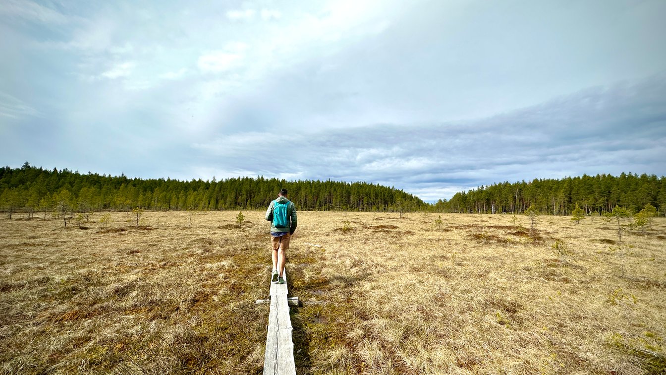 Finland hiking landscape