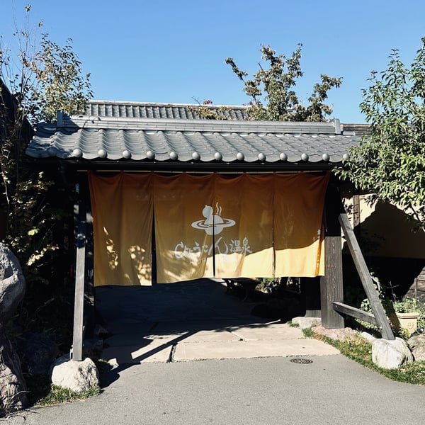 Japanese onsen inspiration